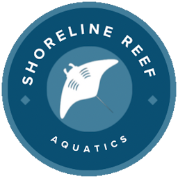 Shoreline Reef Aquatics Logo