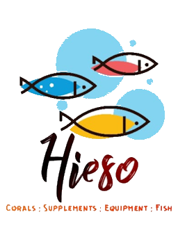 Hieso Logo