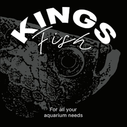King's Fish Logo