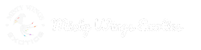 Misty Wings Exotics Logo