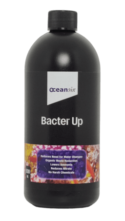 Bacter Up 500ml