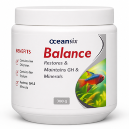 Balance 300g