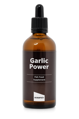 Garlic Power 100ml