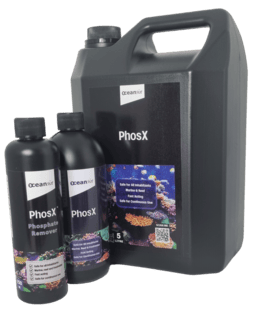PhosX 250ml