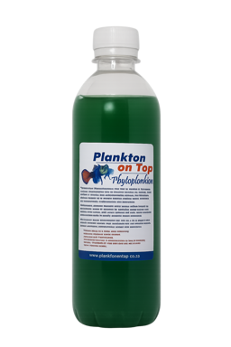 Phytoplankton 500ml