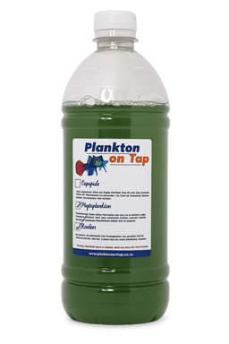 Rotifers 500ml